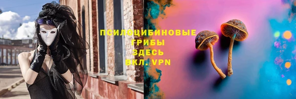 дживик Армянск