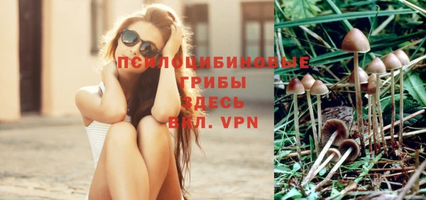дживик Армянск