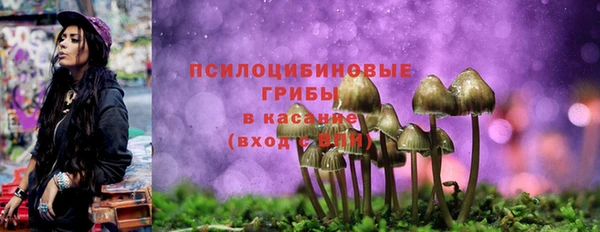 дживик Армянск